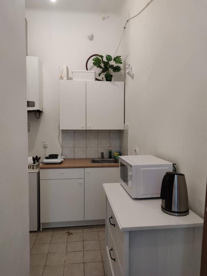 Room With Privat Shower In 3 Rooms Apartment ウィーン エクステリア 写真