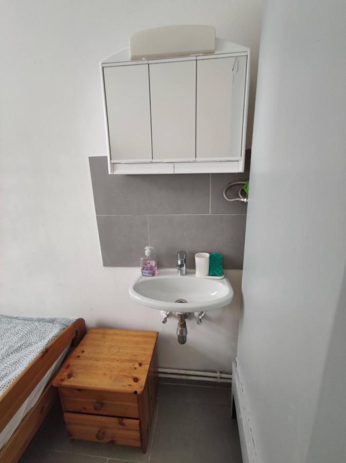Room With Privat Shower In 3 Rooms Apartment ウィーン エクステリア 写真