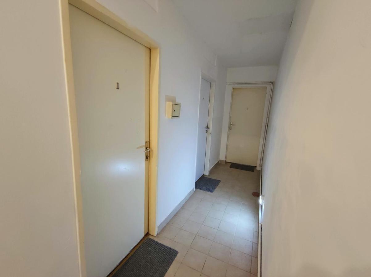 Room With Privat Shower In 3 Rooms Apartment ウィーン エクステリア 写真